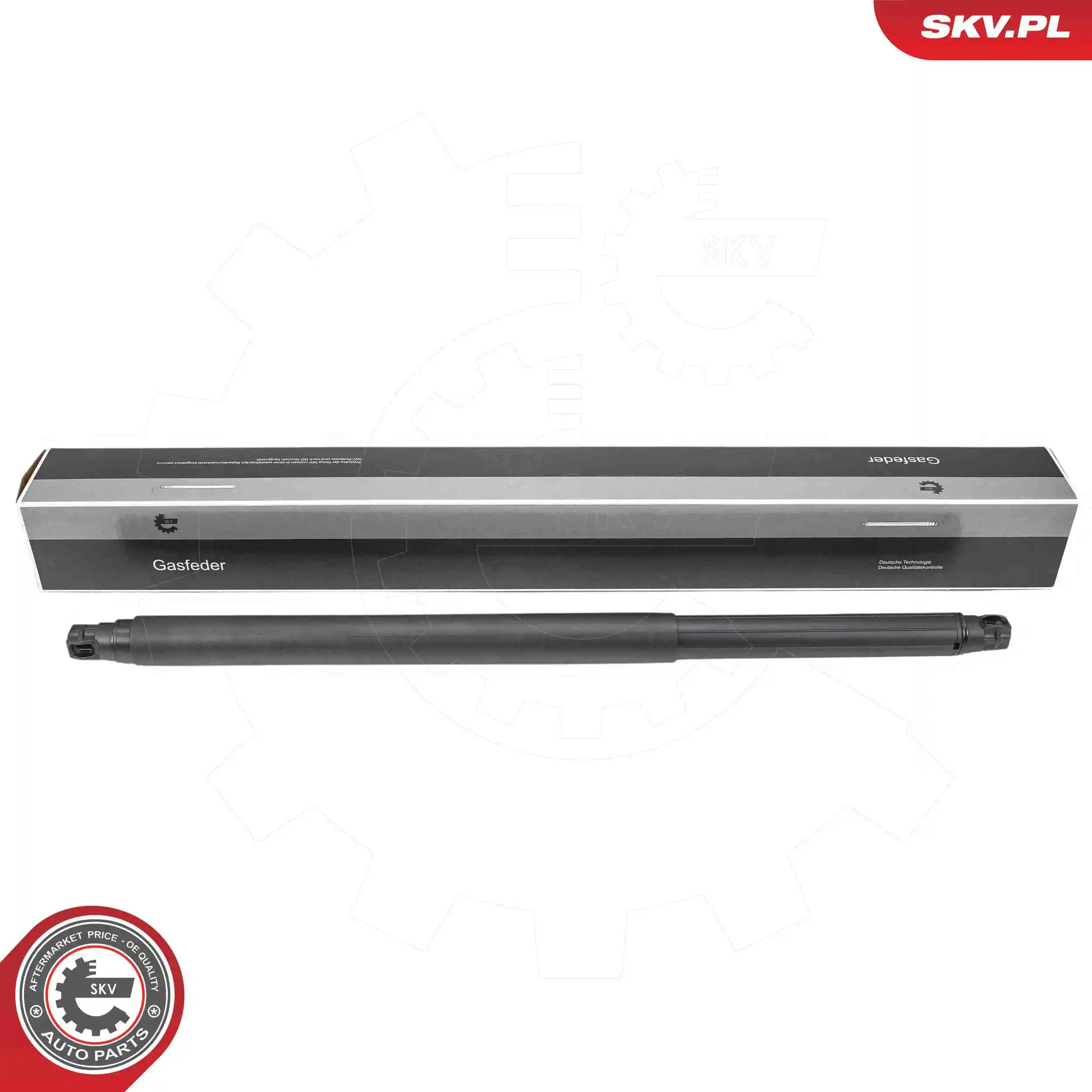 Gas Spring, boot/cargo area